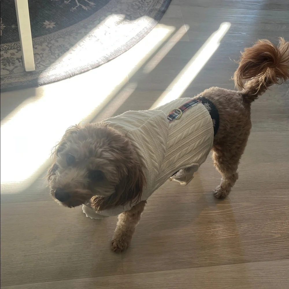 Cable knit Plaid PREPPY Dog Hoodie sweater harness vest adjustable Coat dog L